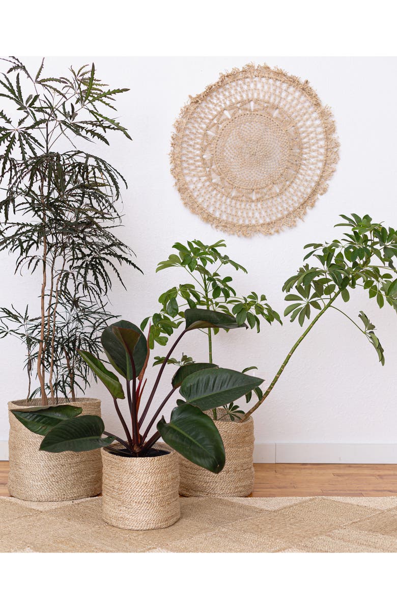 Will & Atlas Round Jute Basket, Alternate, color, Natural