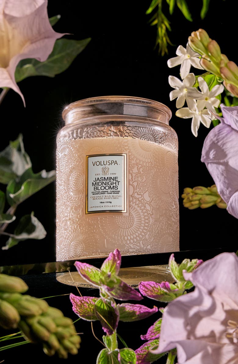 Voluspa Jasmine Midnight Blooms Large Jar Candle, Alternate, color, Jasmine Midnight Blooms