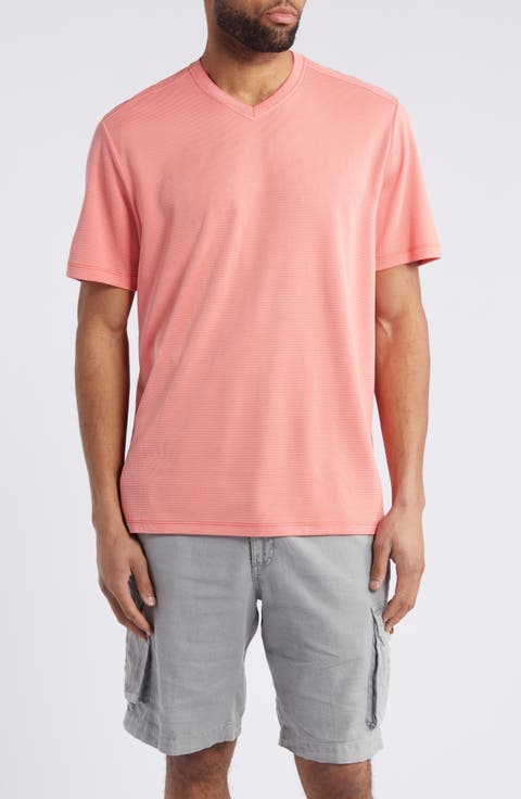 Men's Coastal Crest IslandZone® V-Neck T-Shirt