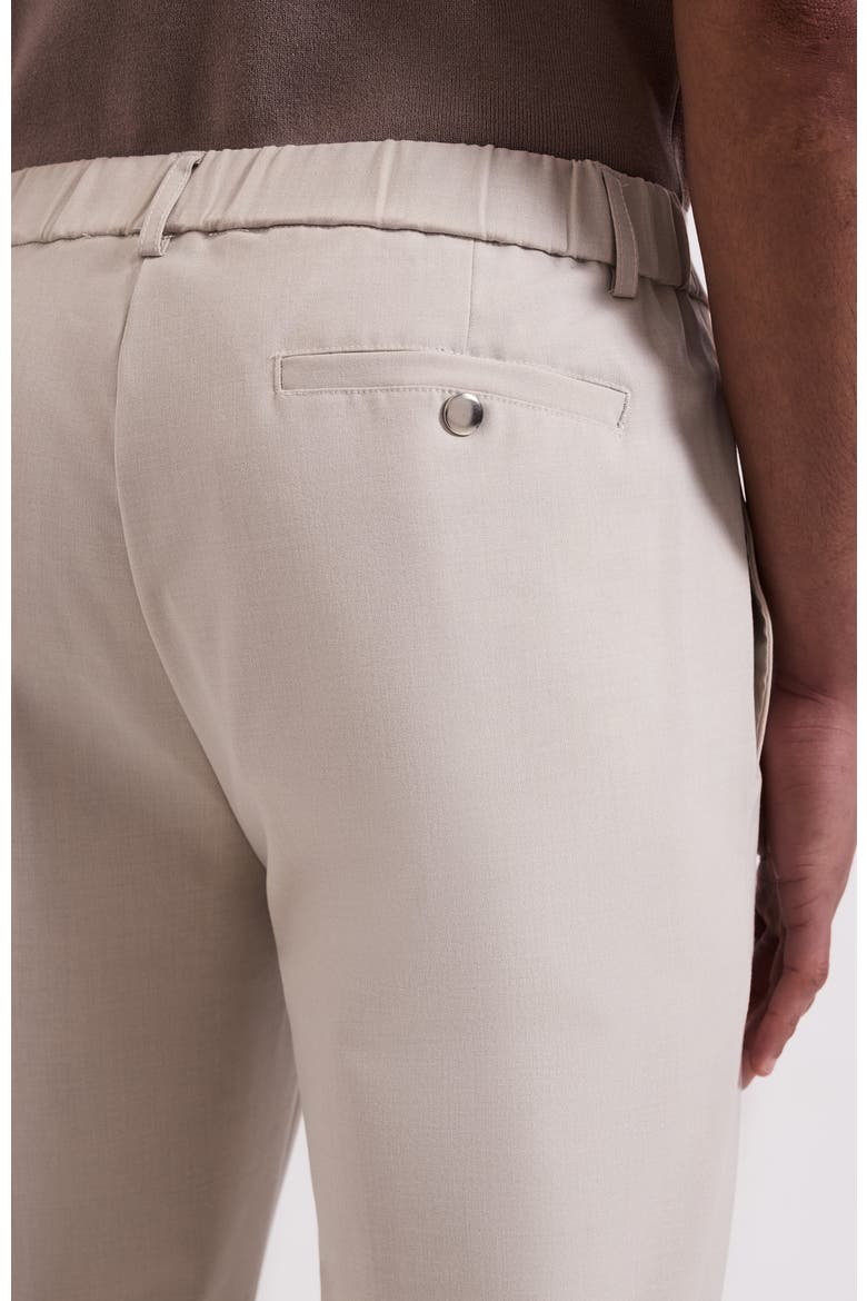 Aster Tailored Stretch Slim Leg Trousers, Alternate, color, Light Beige