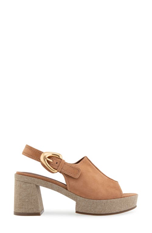 AEROSOLES AEROSOLES ZELLA SLINGBACK PLATFORM SANDAL