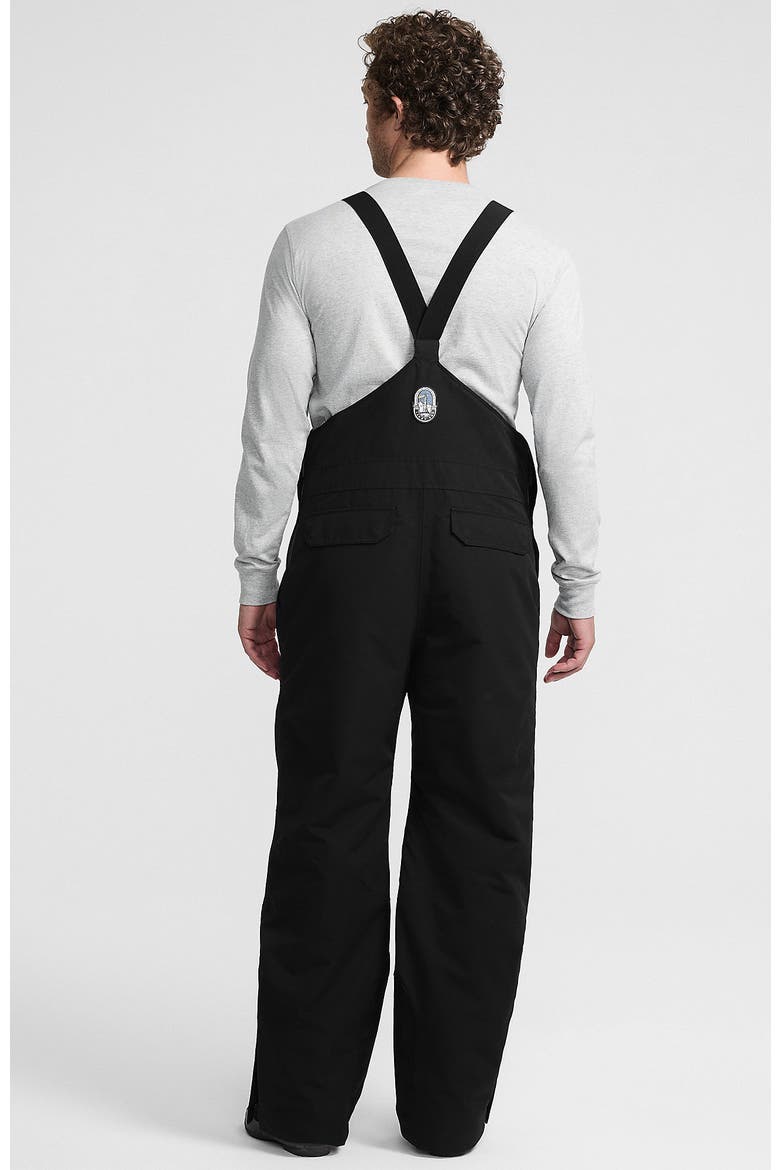 Expedition Winter Bib Snow Pants, Alternate, color, Black