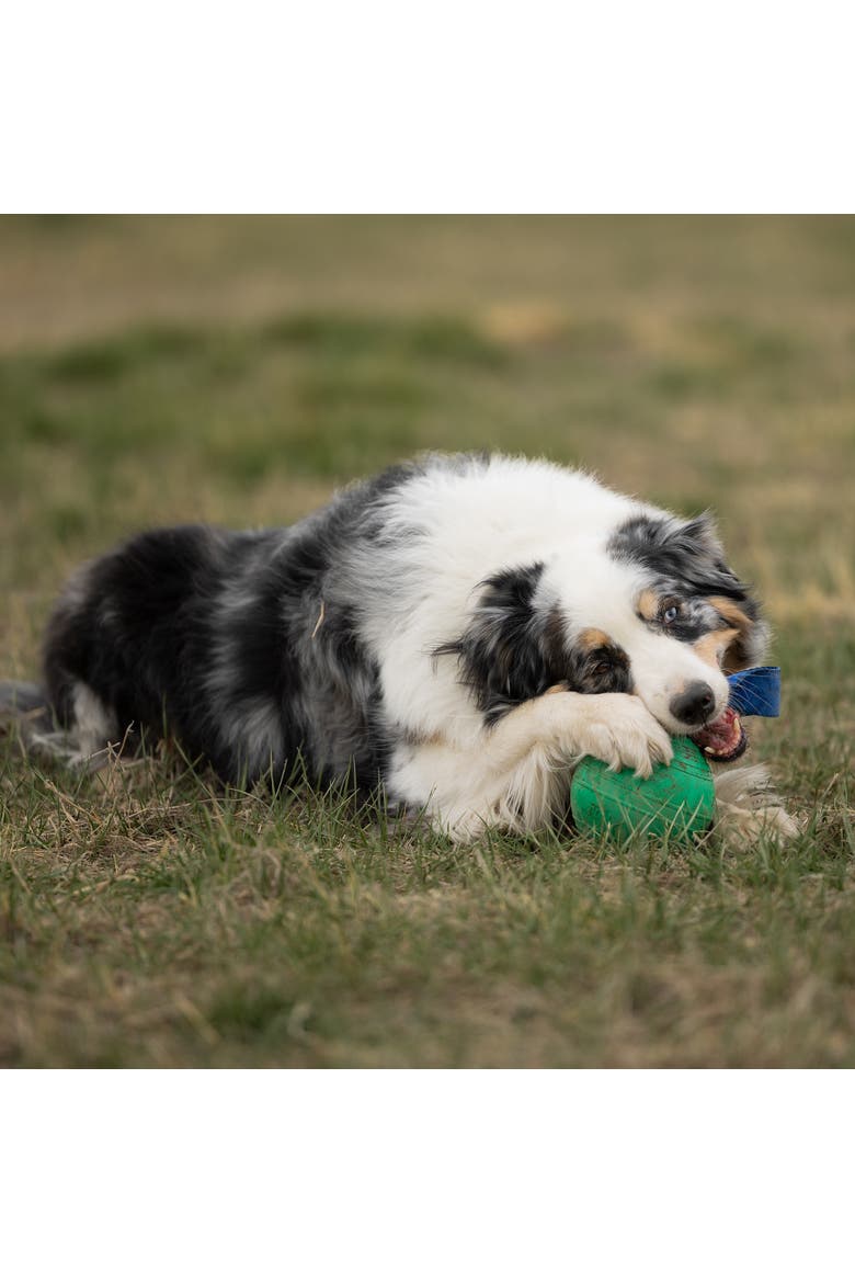 KoreFlex Ball & Tail, 4.75 Inches, Green, Dog Toy, Alternate, color, Green