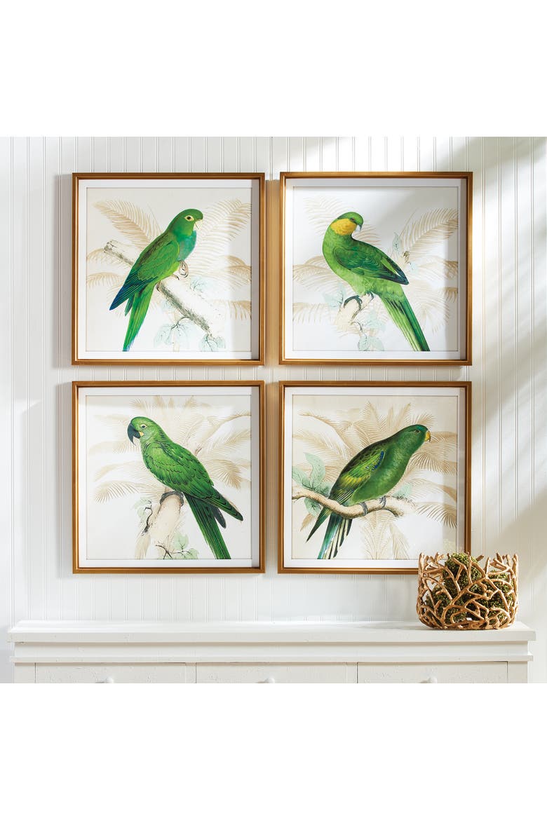 Green Parrots Study Set of 4, Alternate, color, Blue