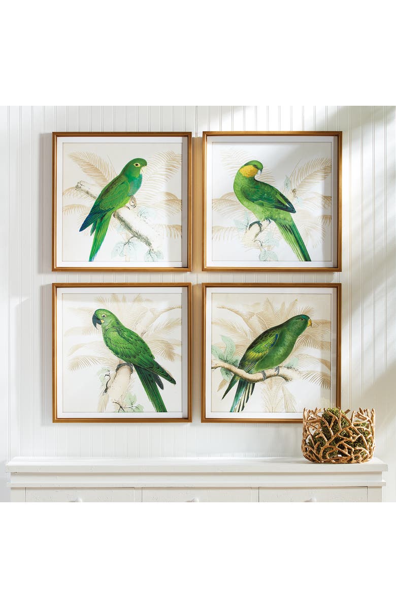 Napa Home & Garden Green Parrots Study Set of 4, Alternate, color, Blue