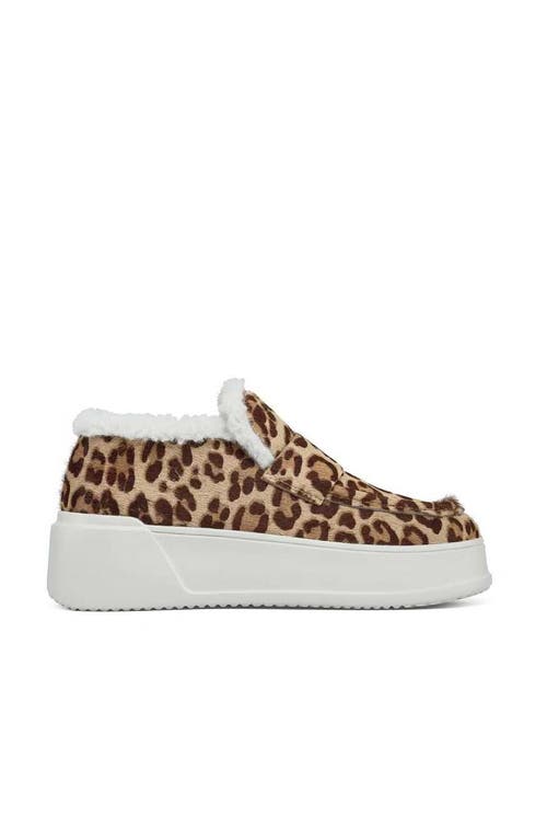 Jslides Footwear Junie Sneaker In Leopard