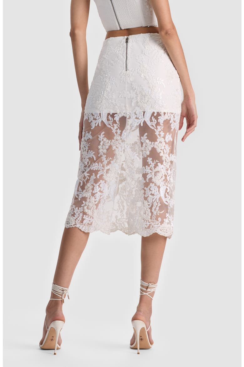 Medine Lace Embroidery Slip Skirt, Alternate, color, OFF WHITE