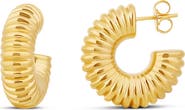 SHYMI Textured Hoop Earrings