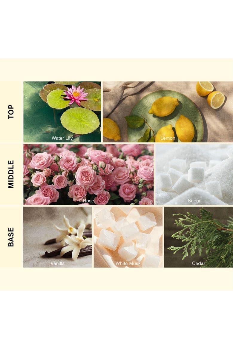 Vanilla Rose Home Fragrance Diffuser Oil Refill, Alternate, color, Black Bottle