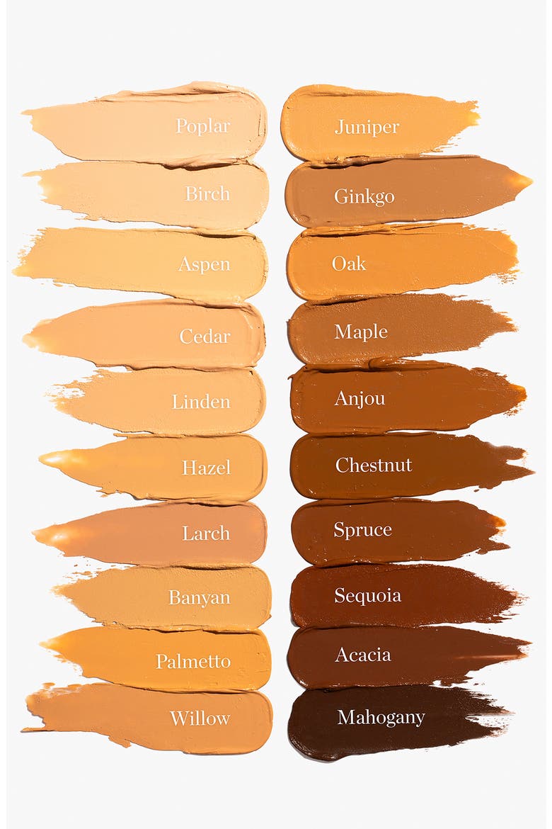Sculpted Complexion Foundation Stick, Alternate, color, BANYAN
