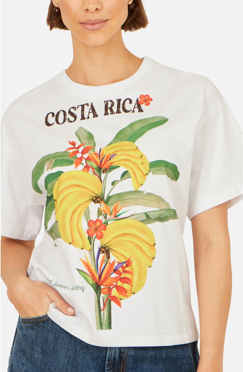 Yumi Costa Rica Cotton T Shirt, Alternate, color, White