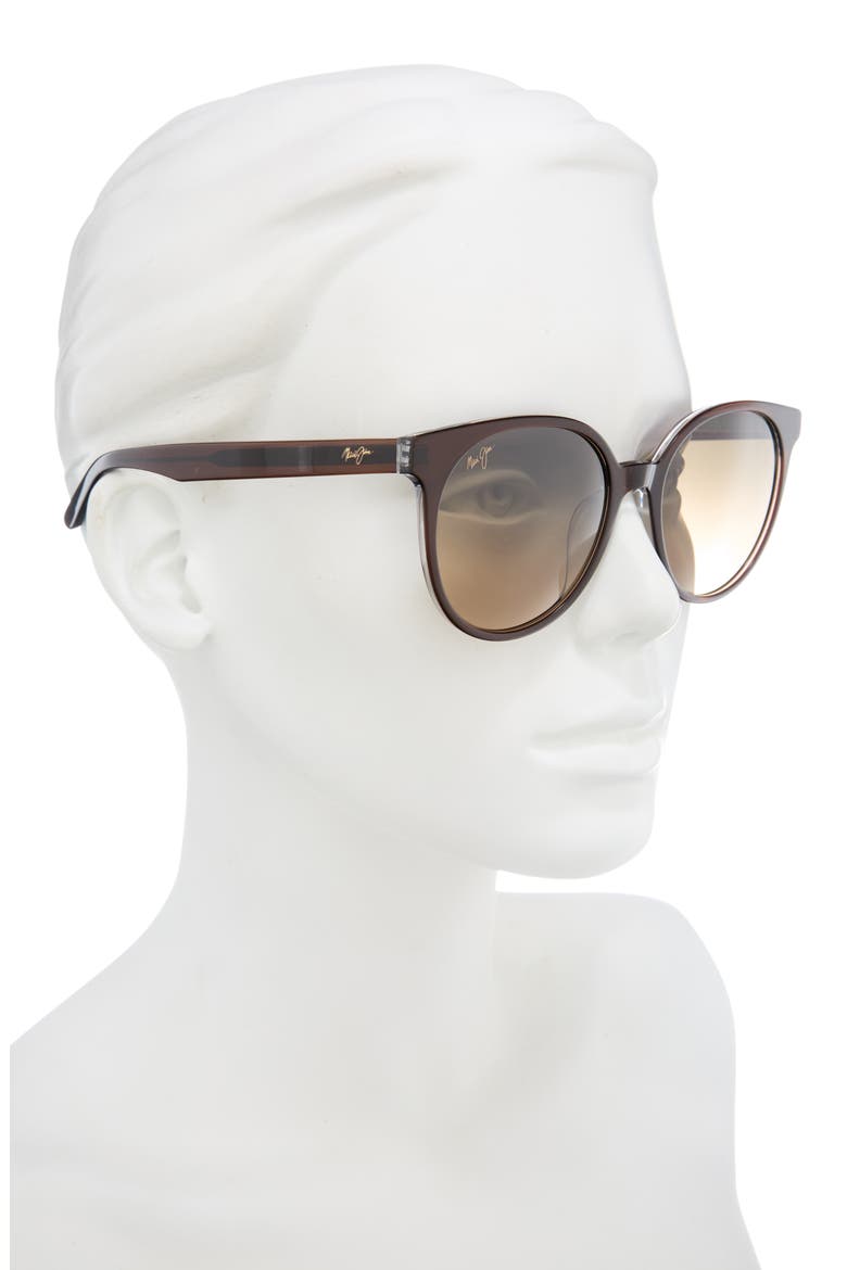 Polarized Round Sunglasses, Alternate, color, ROOTBEER ROOTBEER BRONZE