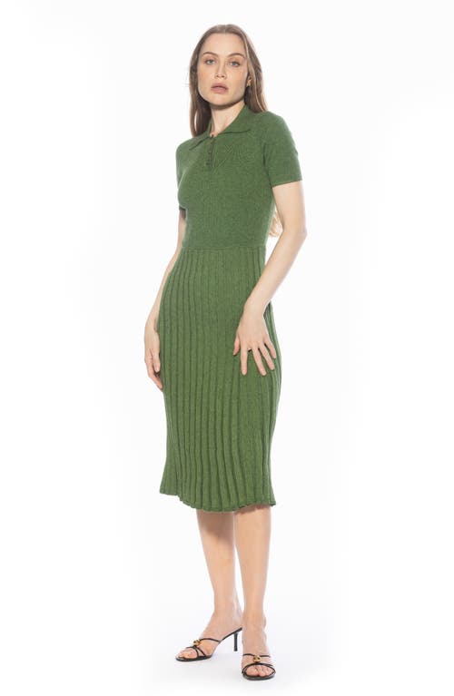 Alexia Admor Lanie Collared Knit Midi Dress In Green