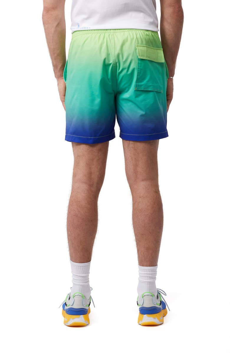Psycho Bunny Rickman Swim Trunks, Alternate, color,