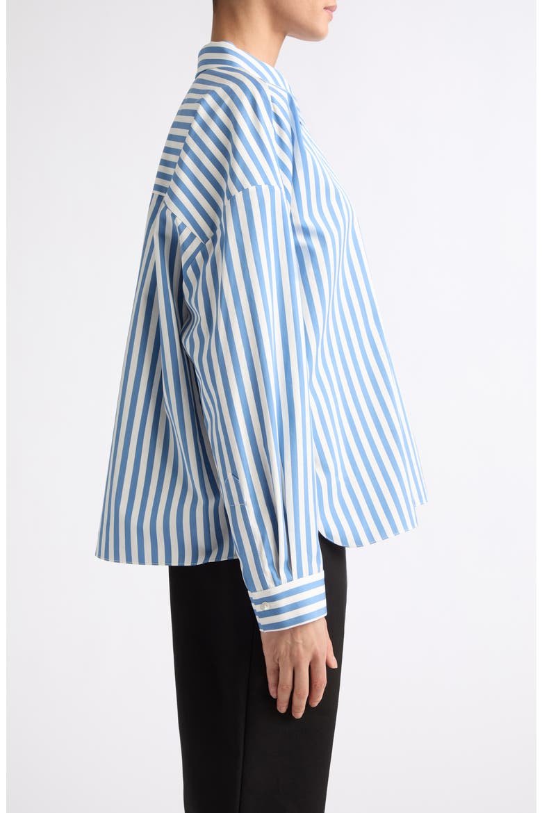 Loren Stripe Cotton Button-Up Shirt, Alternate, color, SKY STRIPE