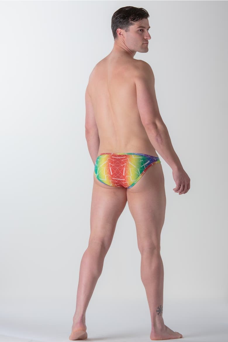 WOH Sexy Fun Micro Briefs, Alternate, color, Multico Print