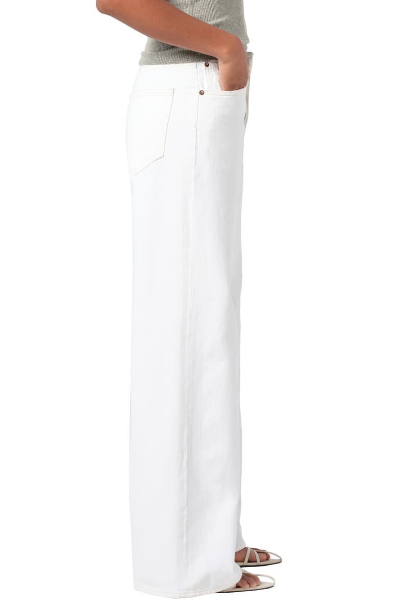 AGOLDE Dame High Waist Wide Leg Jeans, Alternate, color, 