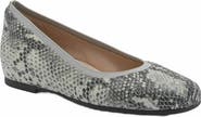 ABEO Cadence Ballet Flat