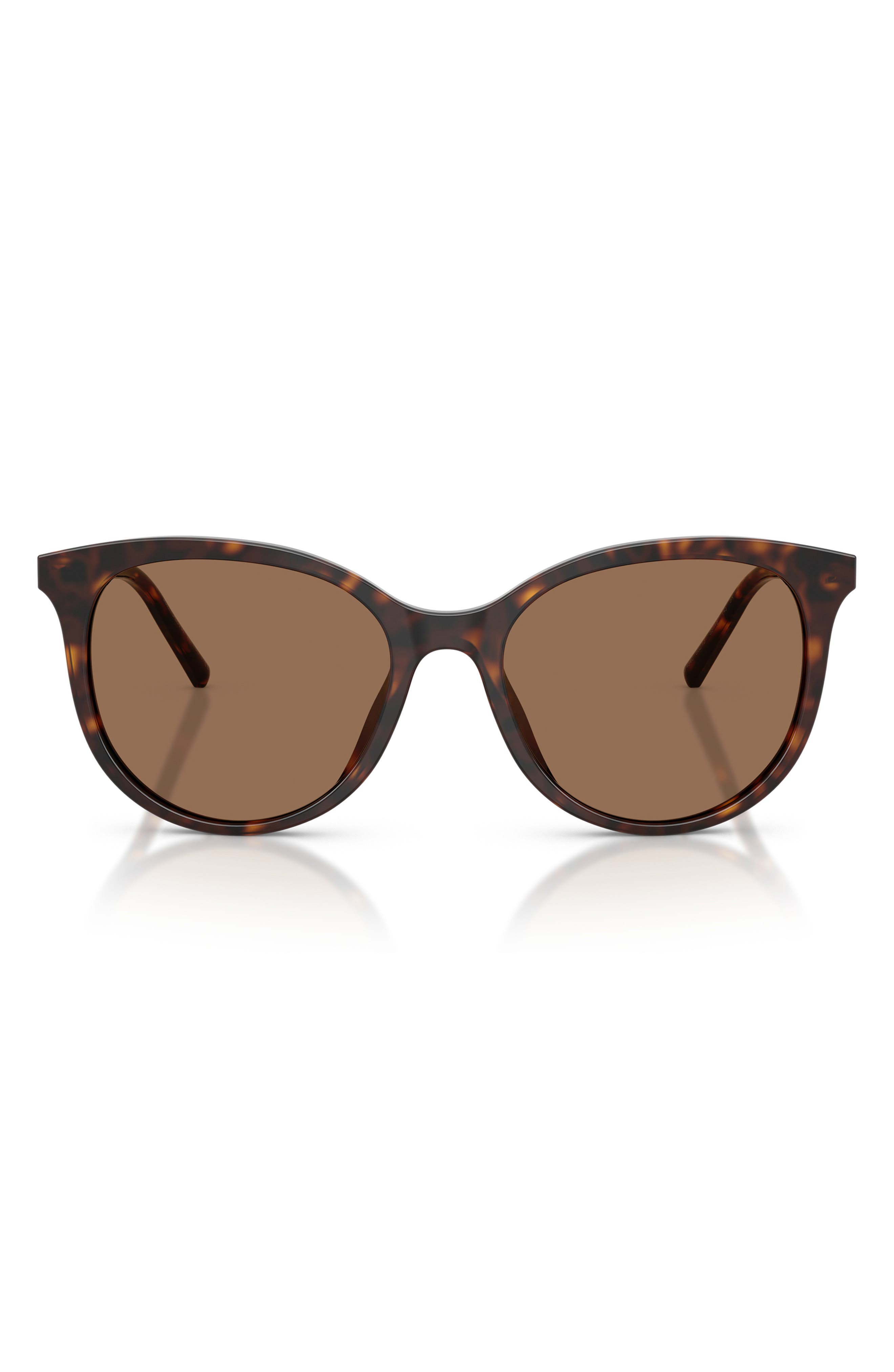 HAVANA / DARK BROWN
