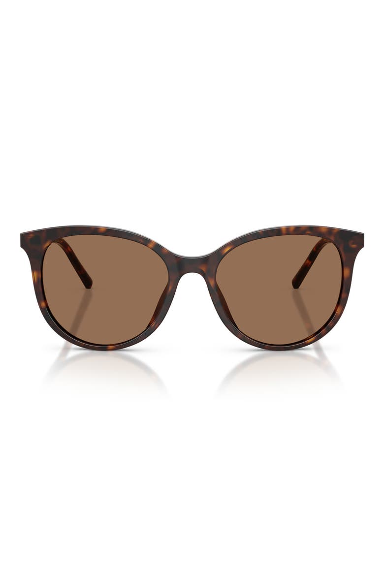 55mm Phantos Sunglasses, Main, color, HAVANA / DARK BROWN