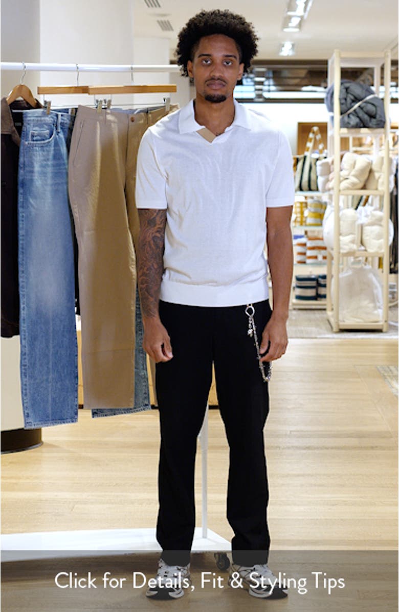 Regular Fit Johnny Collar Polo, sales video thumbnail