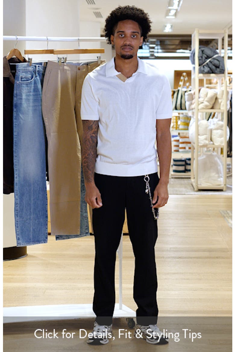 Regular Fit Johnny Collar Polo video