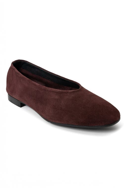 Menina Step Lucrecia Suede Ballet Flat In Burgundy