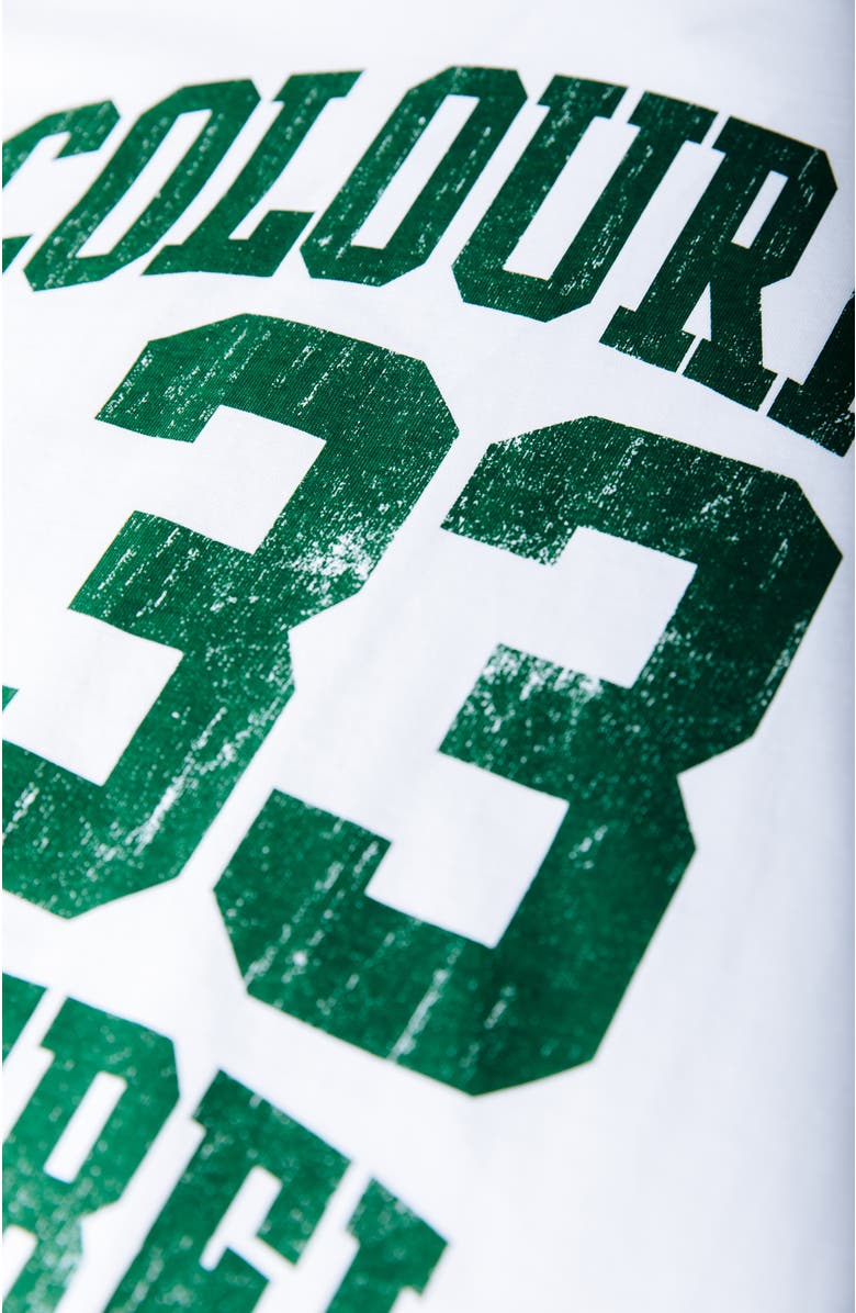 Colourful Rebel CR 33 Stripe Loosefit Tee, Alternate, color, White