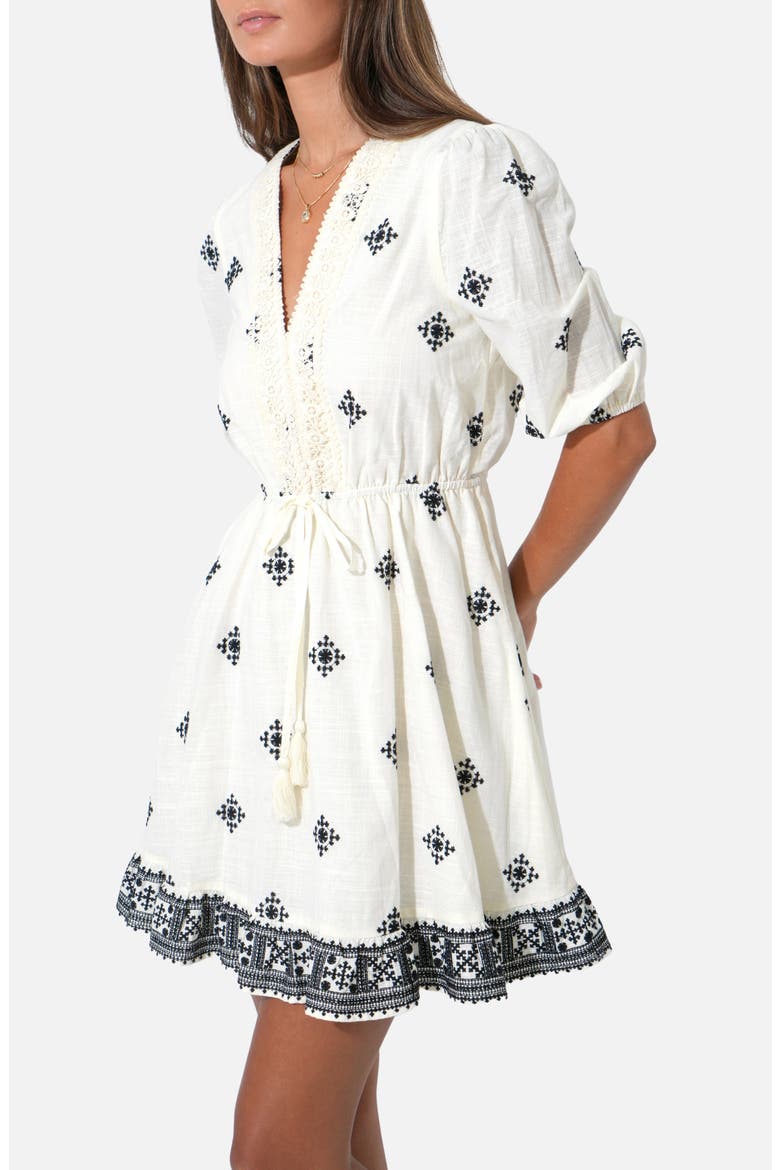 Soraya Embroidered Cotton Minidress, Alternate, color, IVORY/ BLACK