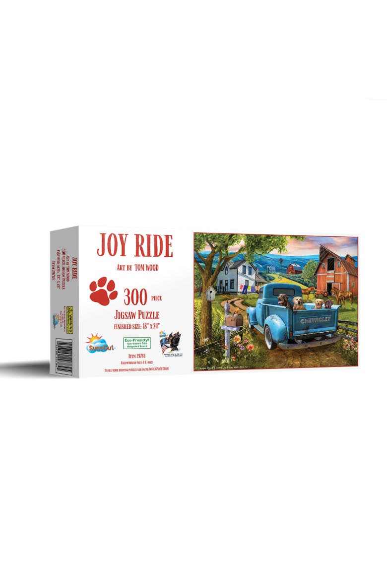 Joy Ride 300 piece Jigsaw Puzzle for Adults, Main, color, Multicolor