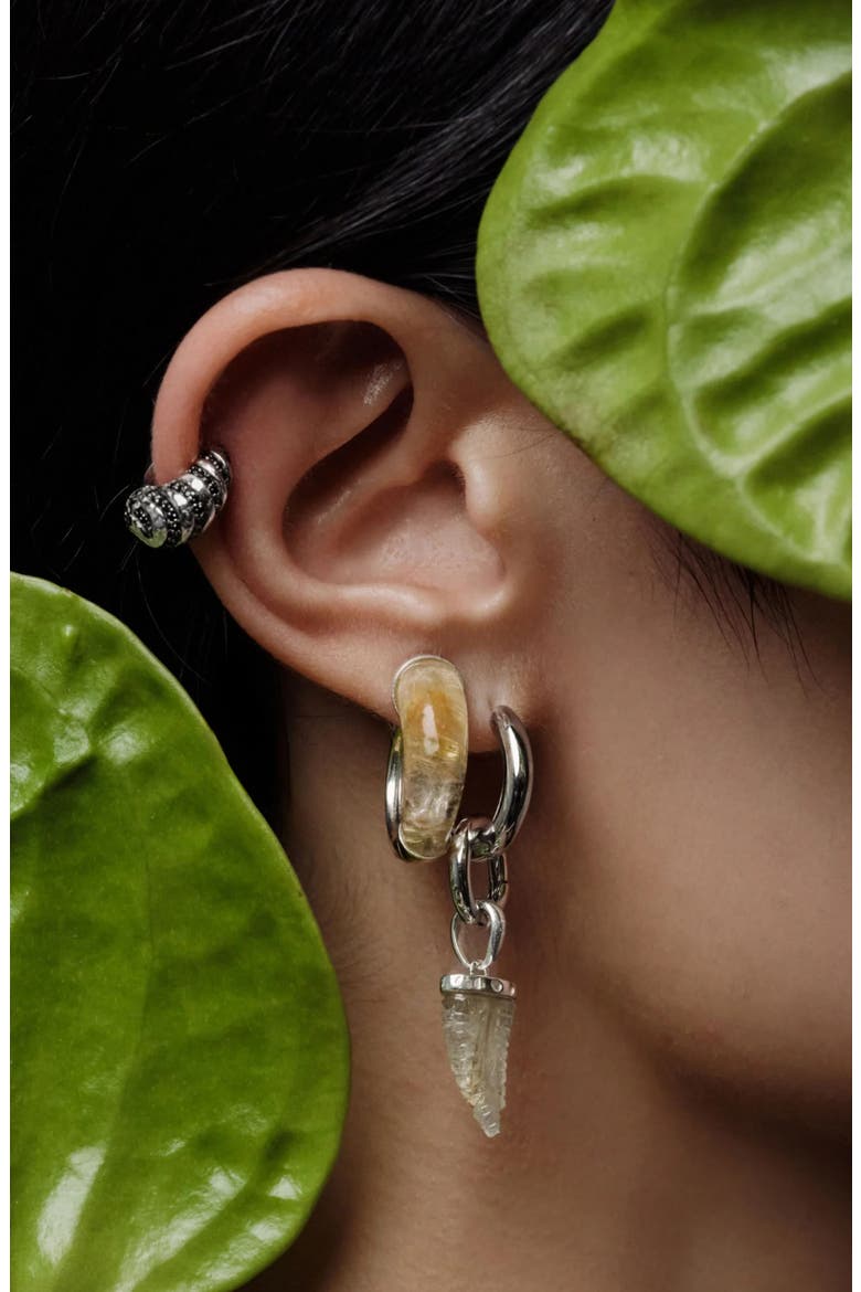 x Jhené Aiko Stone Saber-Tooth Collector Earring, Alternate, color, 14K GOLD VERMEIL