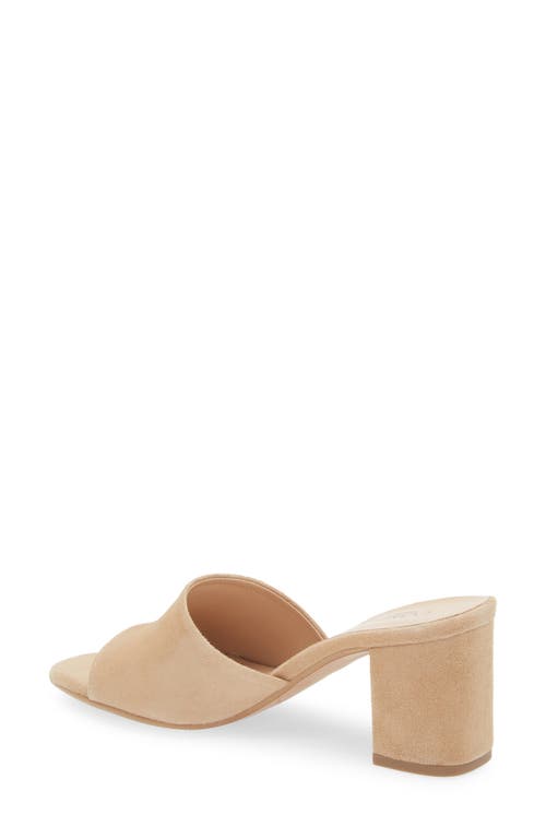 Cordani Irina Slide Sandal In Camoscio Cream