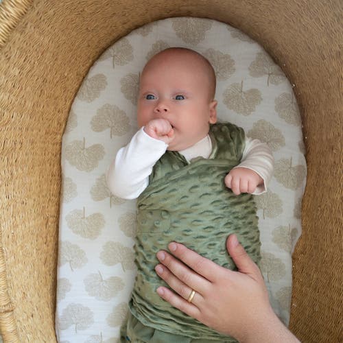 Halo Plush Dots Velboa 3.0 Tog Sleepsack Swaddle In Green