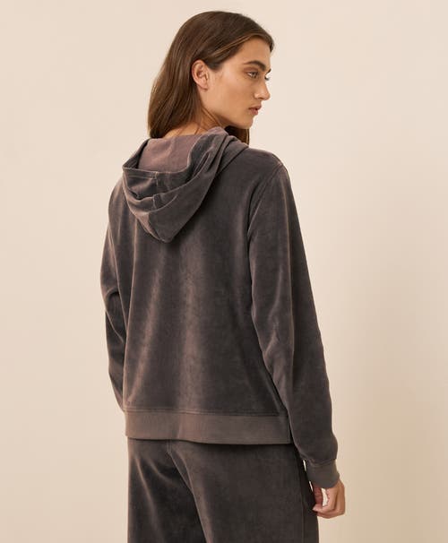 Pact Organic Cotton Pure Velour Zip Hoodie In Black