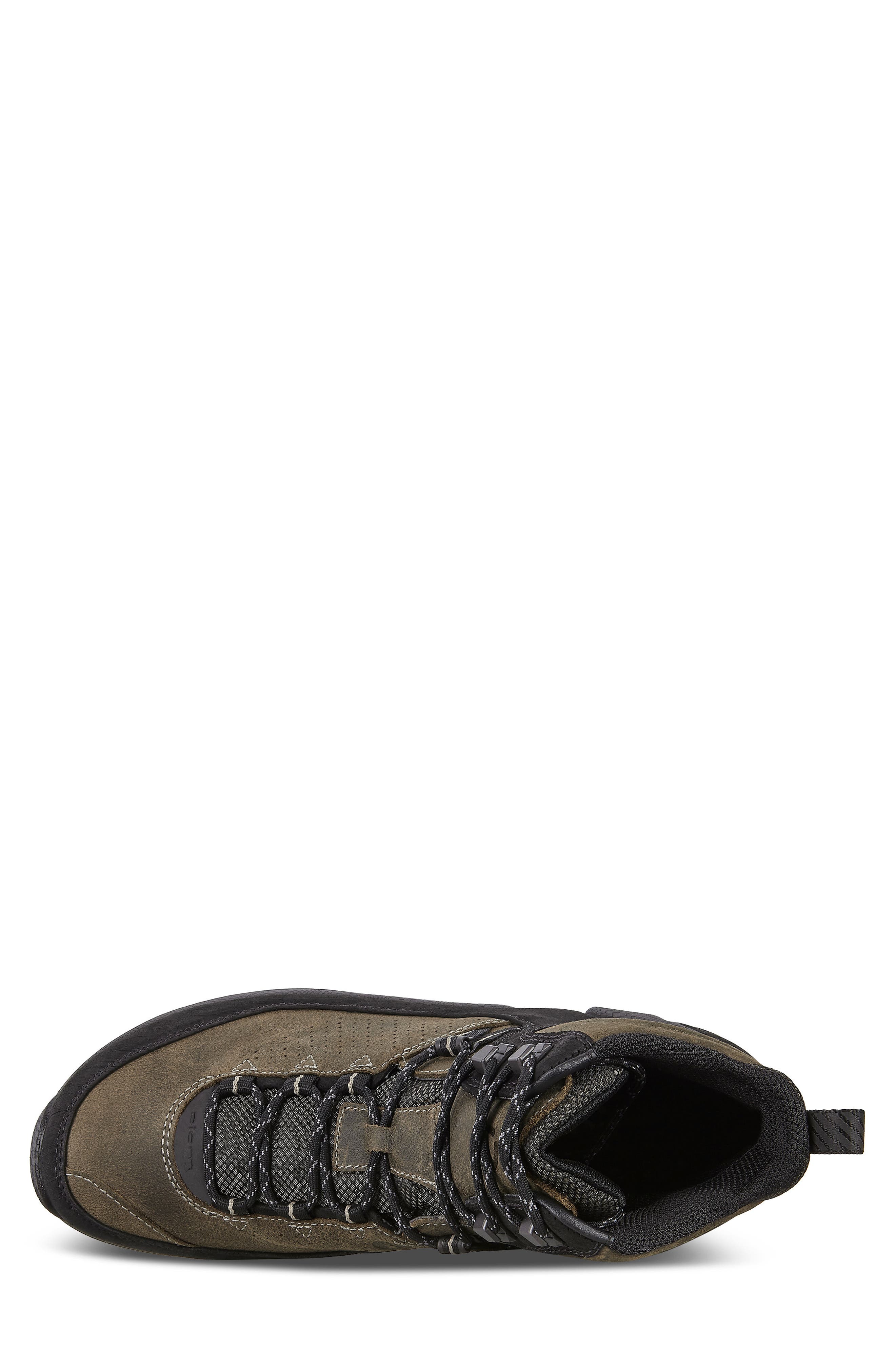 ECCO Biom Terrain Gore-Tex<sup>®</sup> Hiking Boot, Alternate, color, 