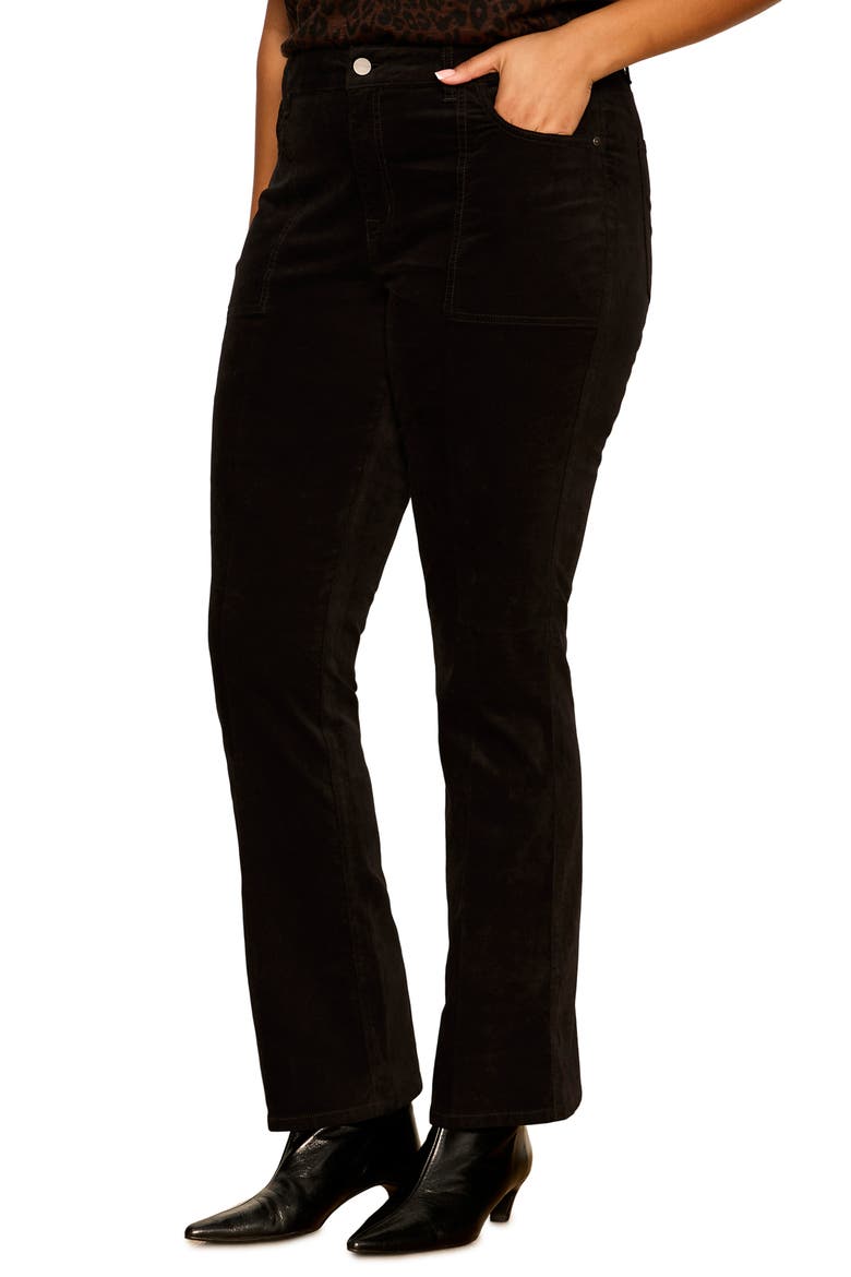 Play Date Bootcut Pants, Alternate, color, BLACK