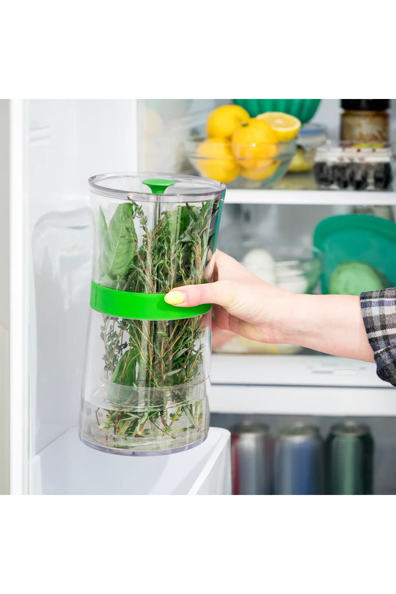 Original Herb Keeper Keeps Herbs Fresh Storage Container, Alternate, color, Green