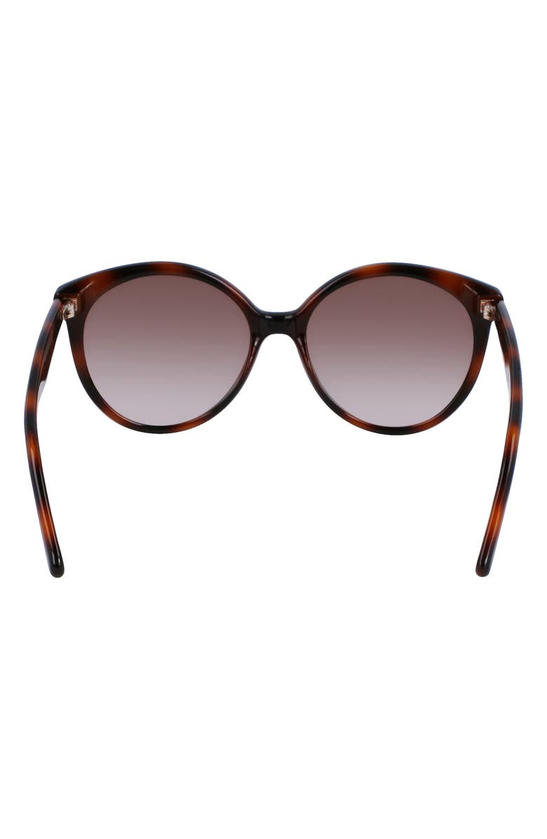 FERRAGAMO 58mm Tea Cup Full Rim Sunglasses, Alternate, color, Tortoise