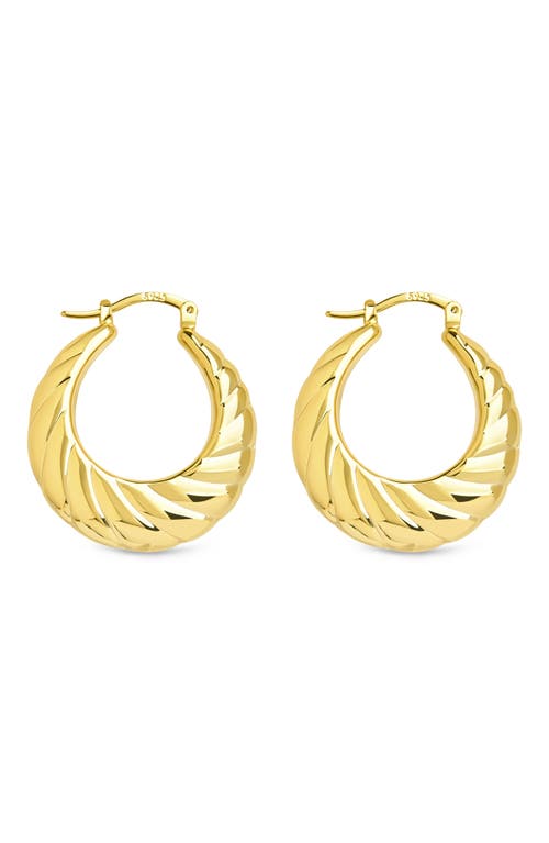 Sterling Forever Caroline Textured Hoop Earrings In Gold