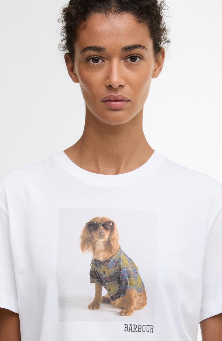 Barbour Marine Cotton Graphic T-Shirt, Alternate, color, 