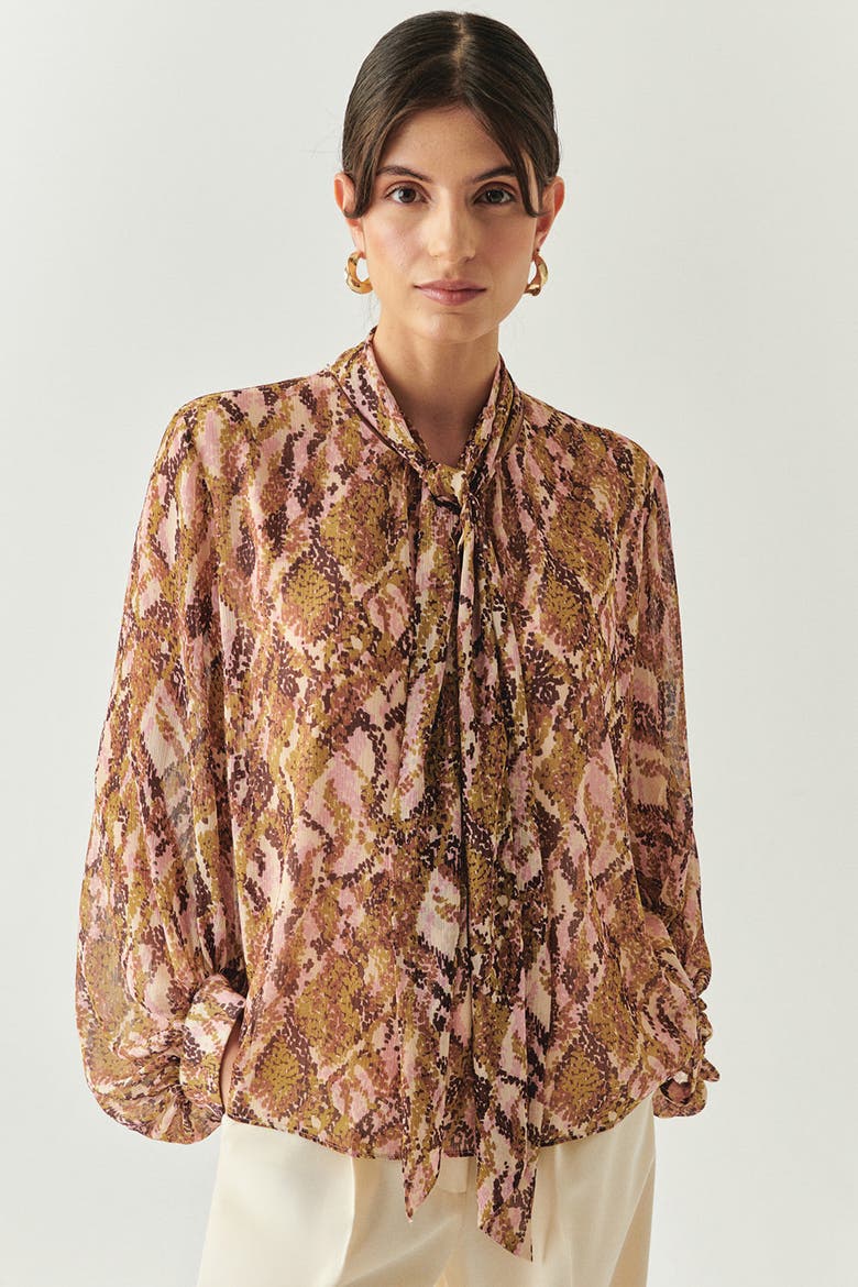 Sariyah Long Sleeve Blouse, Alternate, color, Brown