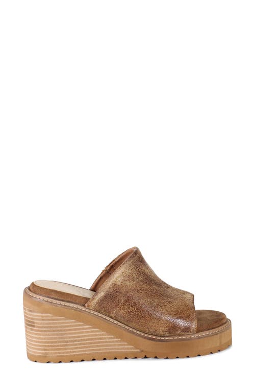 Diba True Cloud Fall Wedge Sandal In Brown