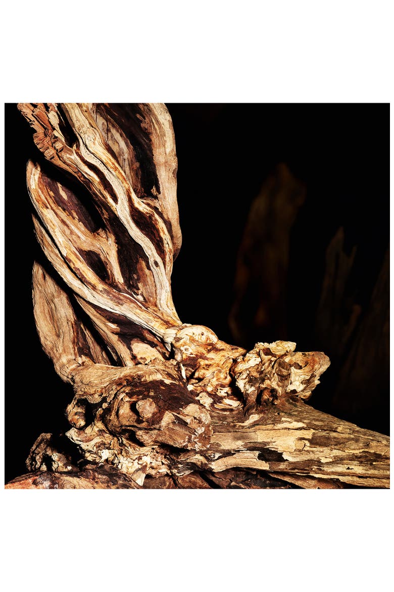 Cuir - Le Vestiaire des Parfums, Alternate, color, NO COLOR