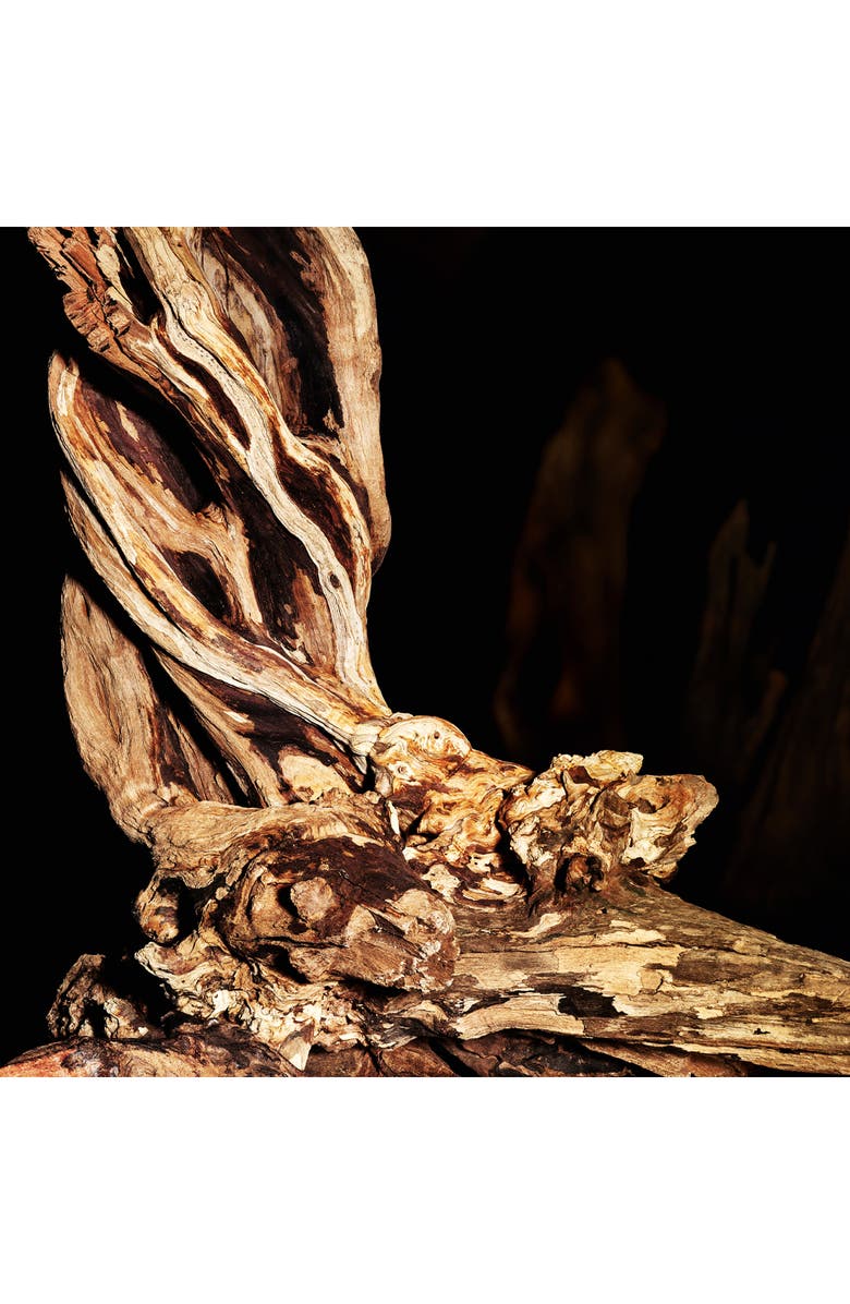 Yves Saint Laurent Cuir - Le Vestiaire des Parfums, Alternate, color,