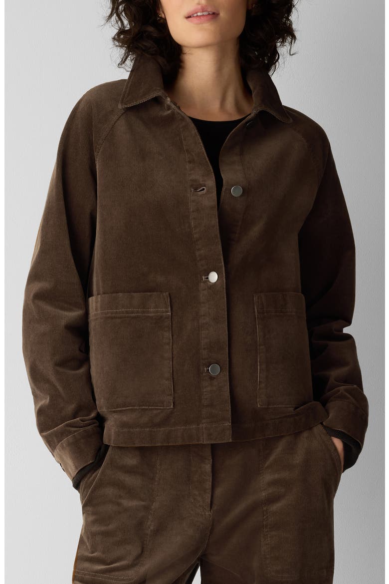 Classic Collar Corduroy Jacket, Main, color, HAZELWOOD