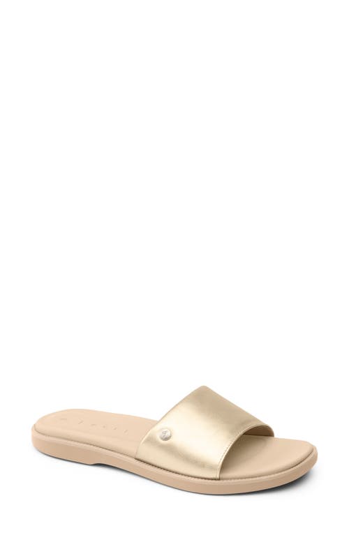 Reef Cushion Sunny Slide Sandal In Golden Hour