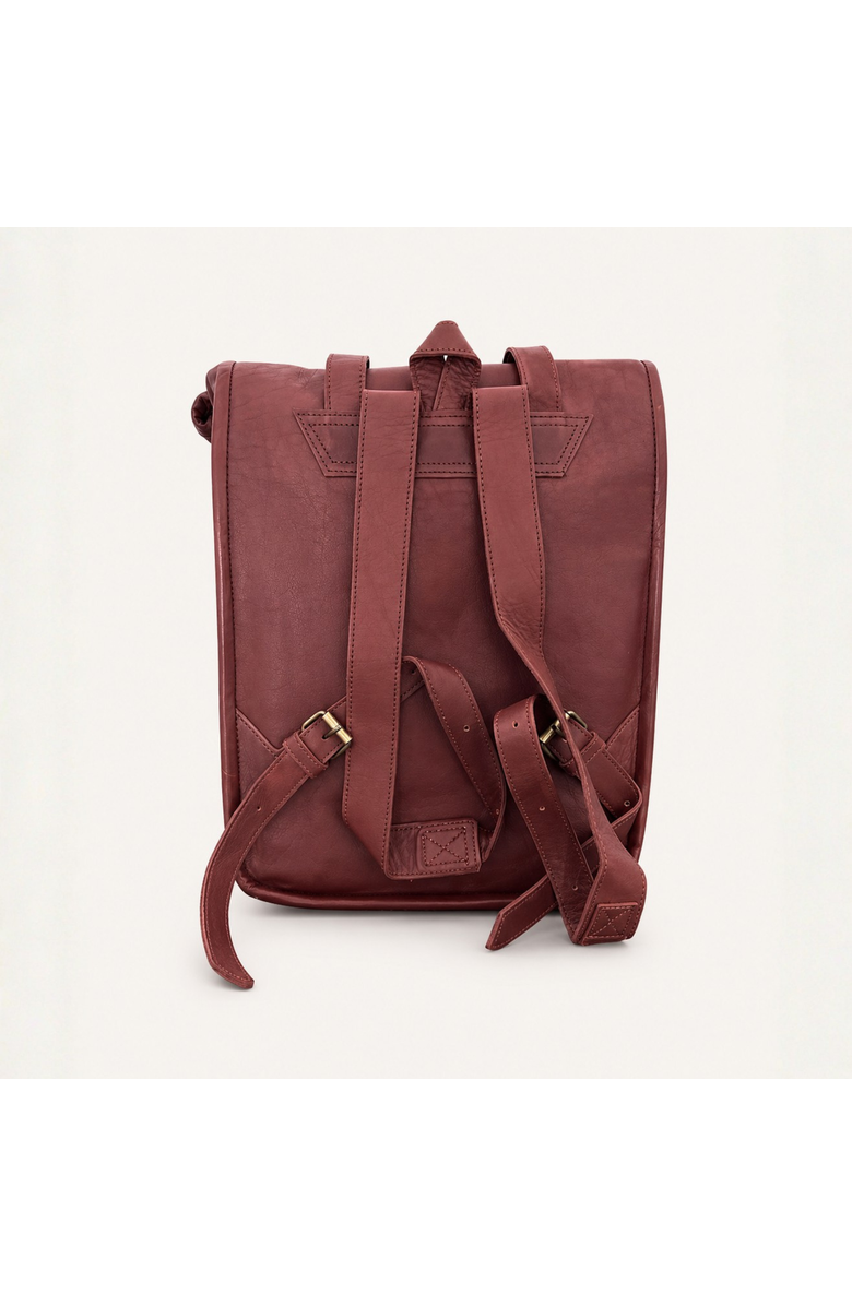 Amasouk Adventurer Leather Rolltop Backpack, Alternate, color, Chestnut