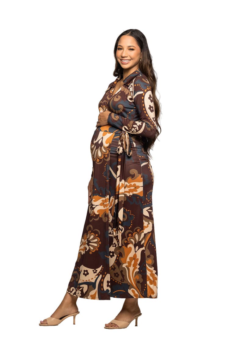 Paisley Empire Waist Maxi Dress, Alternate, color, Brown Multi