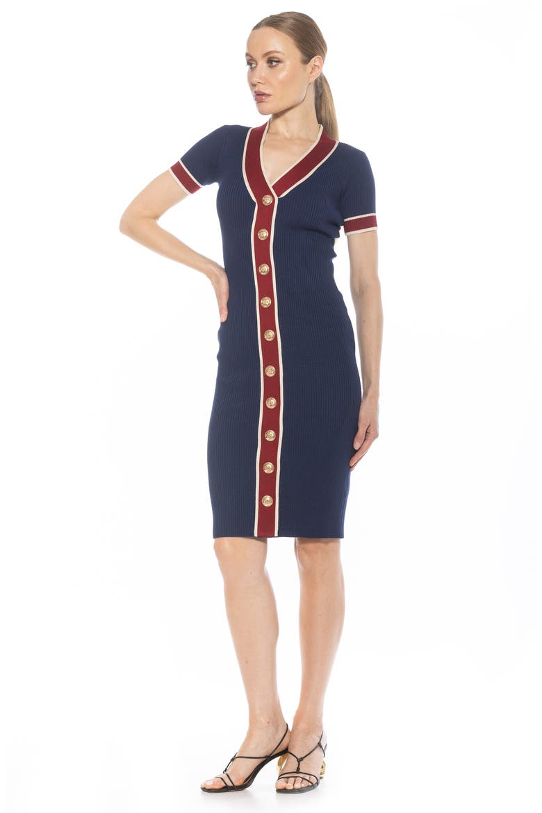 Otto V-neck Short Sleeve Ribbed Sweater Dress, Alternate, color, NAVY