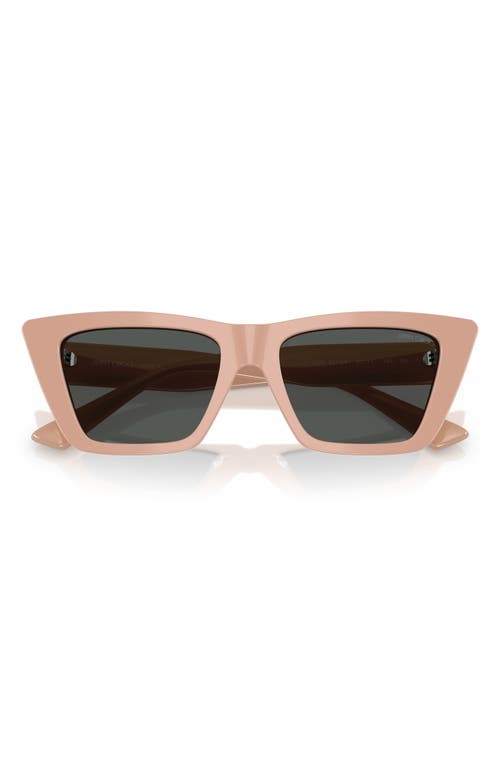 Jimmy Choo 53mm Cat Eye Sunglasses In Pink